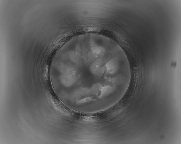 X0000114610550200911101154