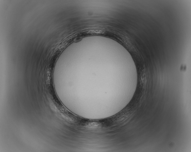 X0000114610551200911101154