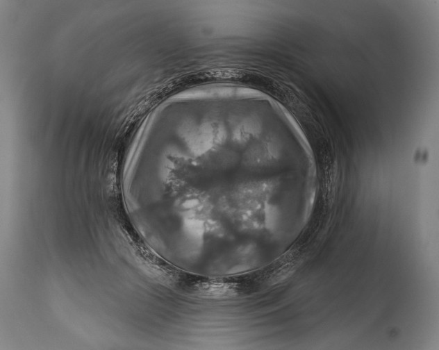 X0000114610553200911101154