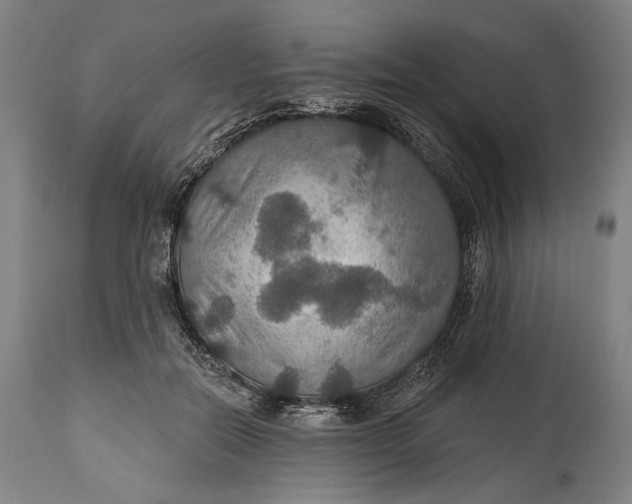 X0000114610554200911101154