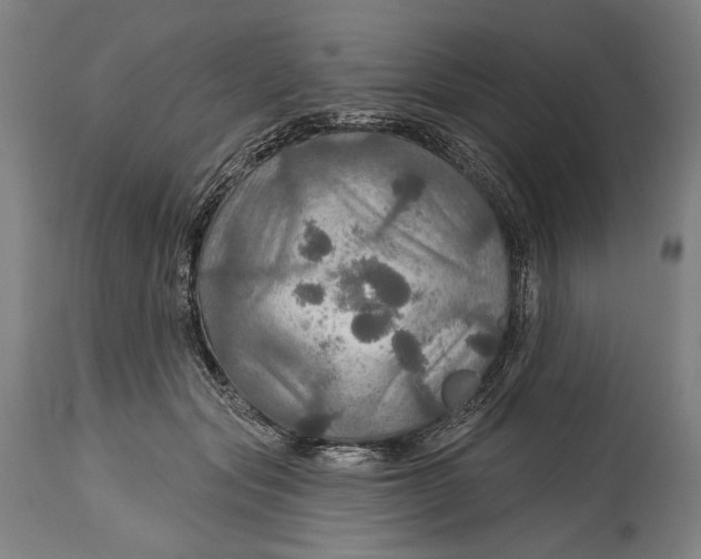 X0000114610557200911101154