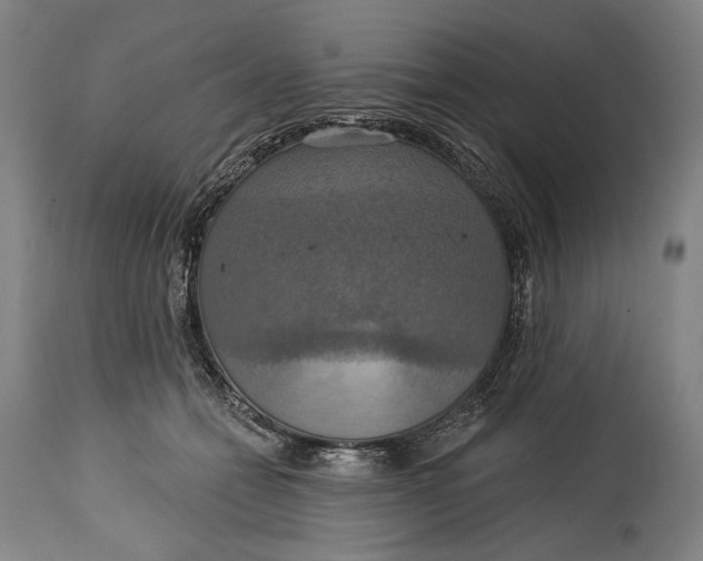 X0000114610558200911101154