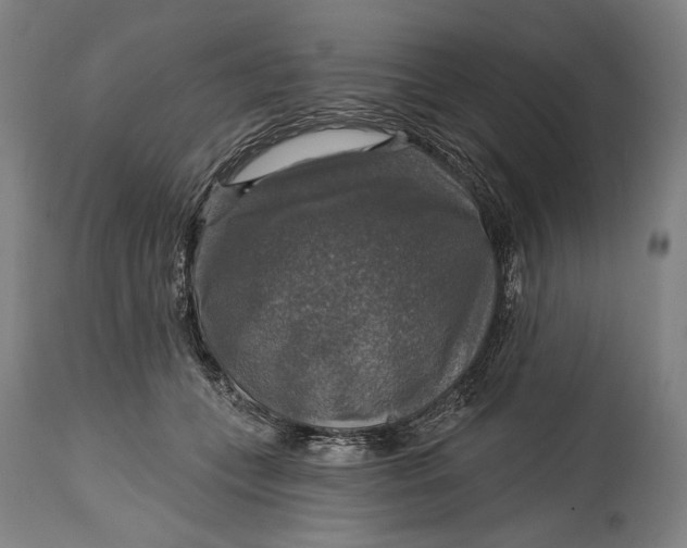 X0000114610559200911101154