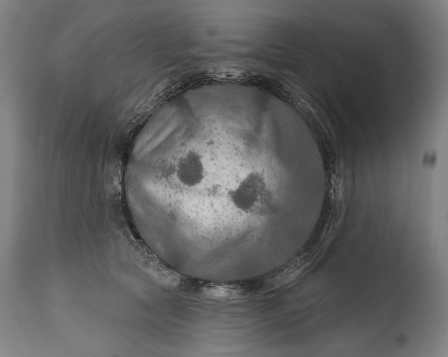 X0000114610561200911101154