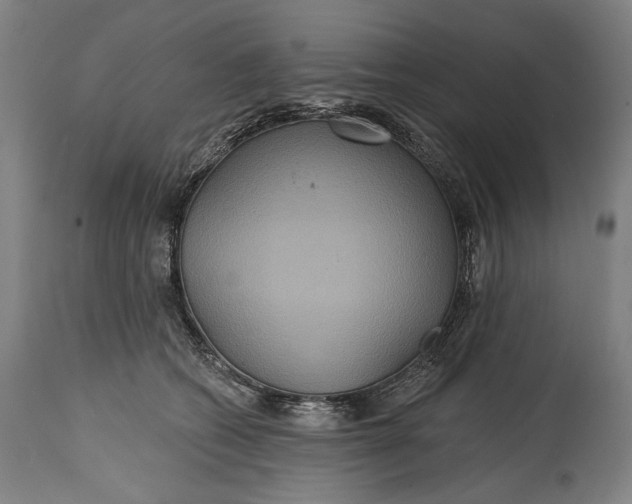 X0000114610562200911101154