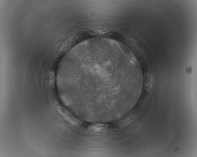 X0000114610563200911101154