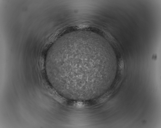 X0000114610565200911101154