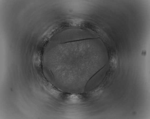 X0000114610566200911101154