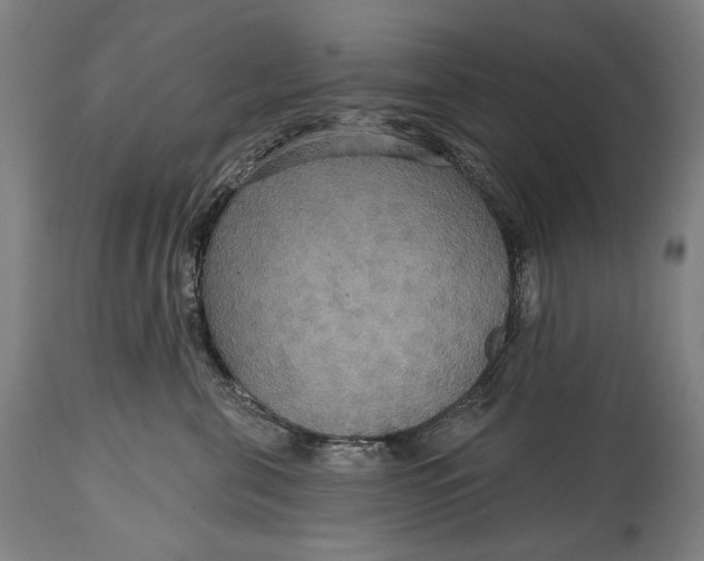 X0000114610571200911101154