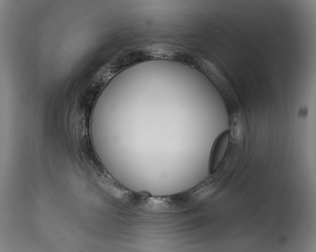 X0000114610573200911101154