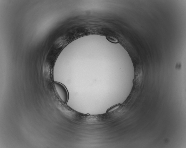 X0000114610574200911101154