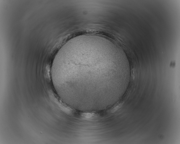 X0000114610575200911101154