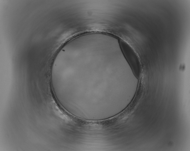 X0000114610577200911101154