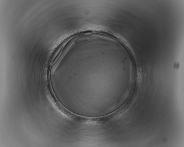 X0000114610581200911101154