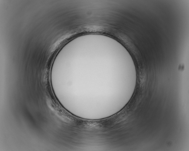 X0000114610583200911101154