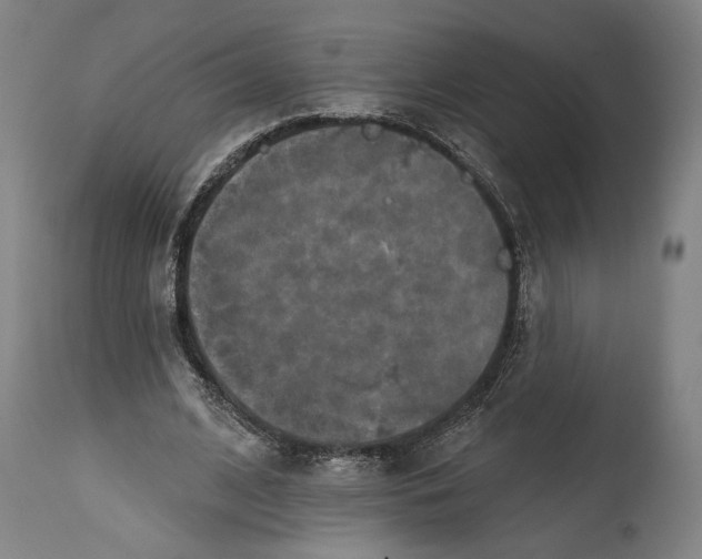 X0000114610584200911101154