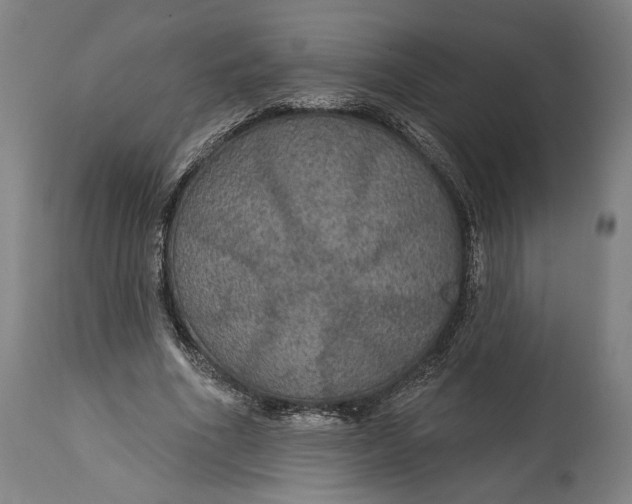 X0000114610586200911101154