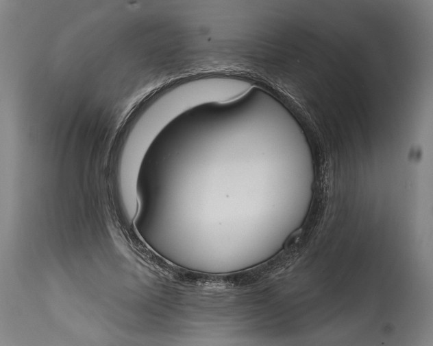 X0000114610587200911101154