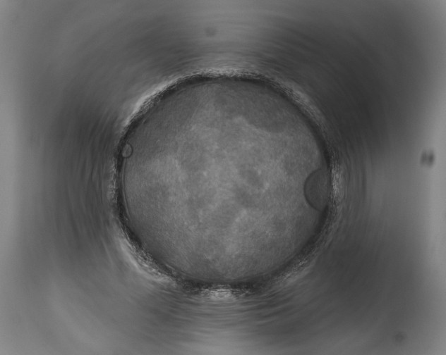 X0000114610588200911101154