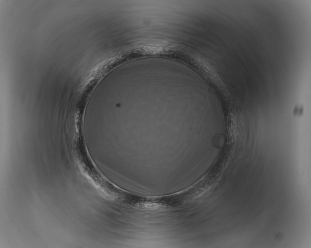 X0000114610590200911101153