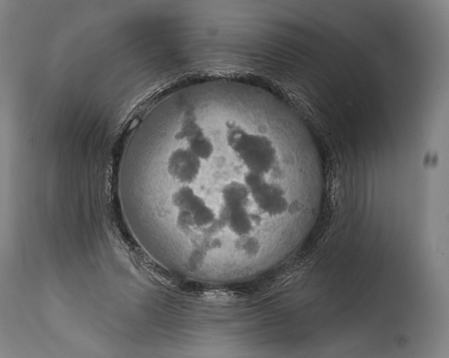 X0000114610591200911101153