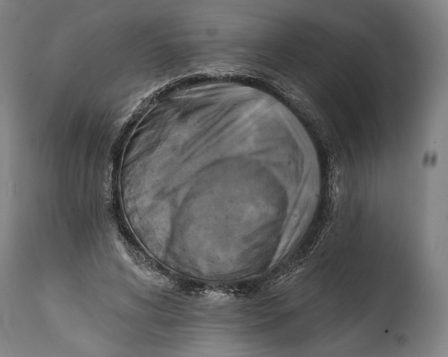 X0000114610592200911101153