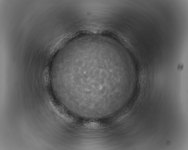 X0000114610594200911101153