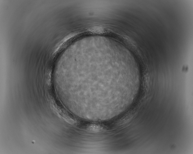 X0000114610596200911101153