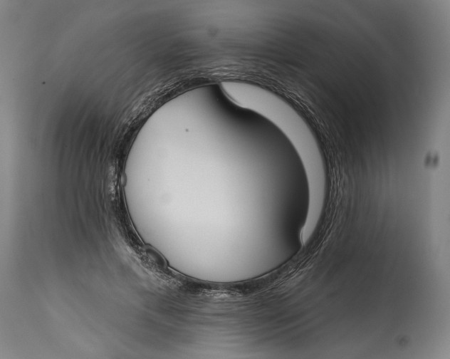 X0000114610597200911101153