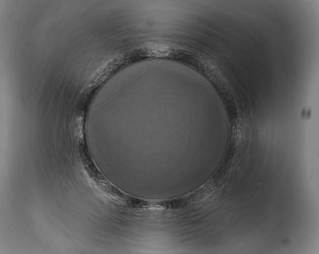 X0000114610598200911101153