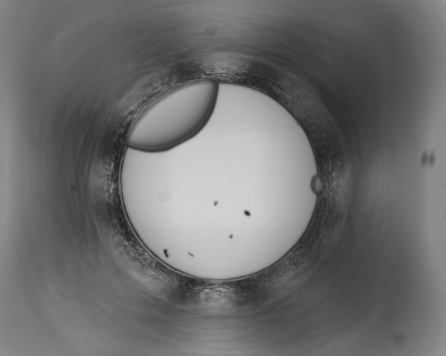 X0000114610599200911101153