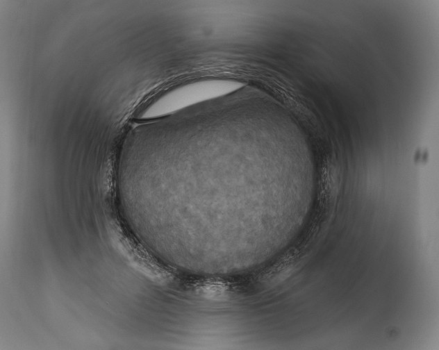 X0000114610600200911101153