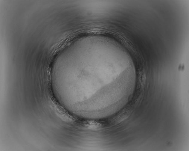 X0000114610601200911101153