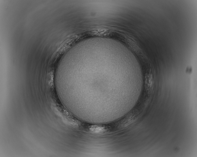 X0000114610602200911101153