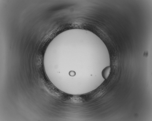 X0000114610603200911101153