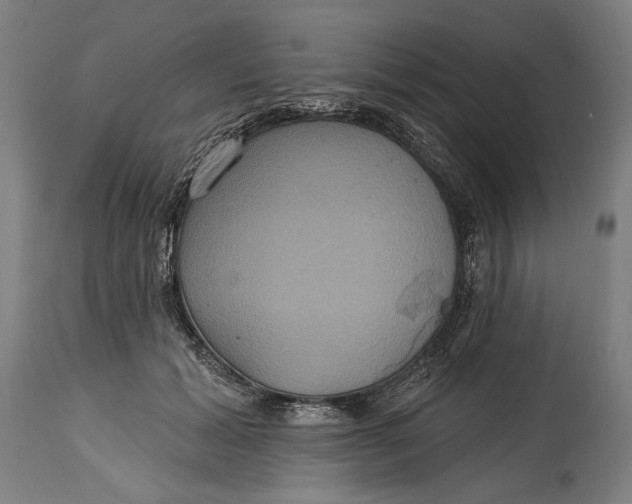 X0000114610605200911101153