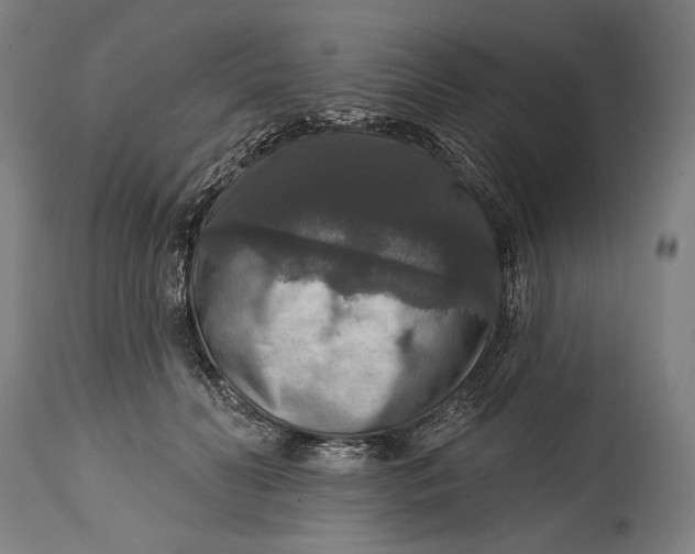 X0000114610606200911101153