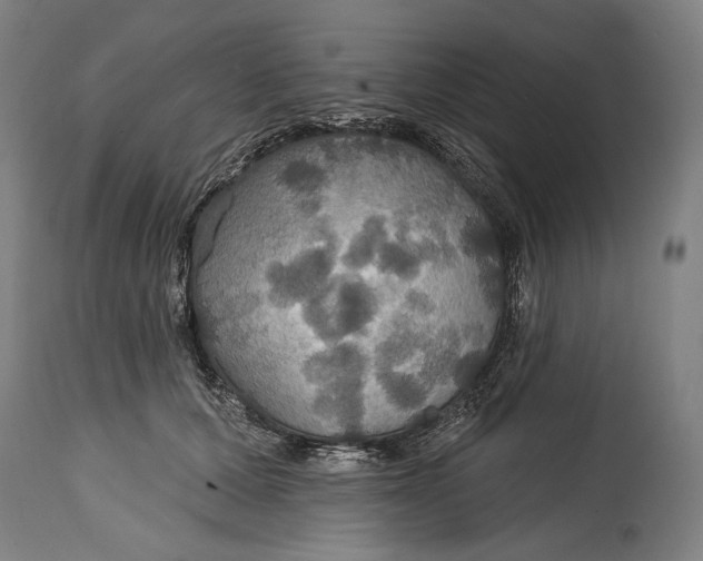 X0000114610607200911101153