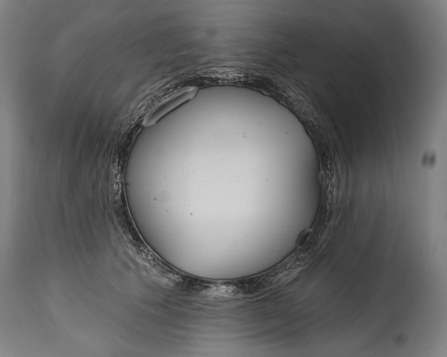 X0000114610609200911101153