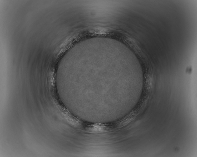 X0000114610612200911101153