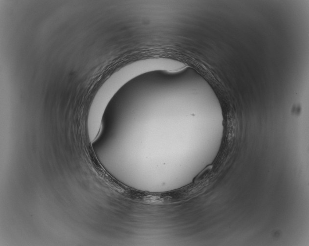 X0000114610613200911101153