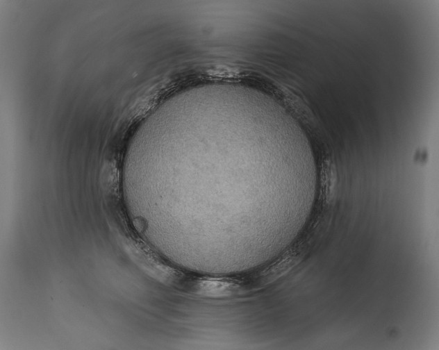 X0000114610614200911101153