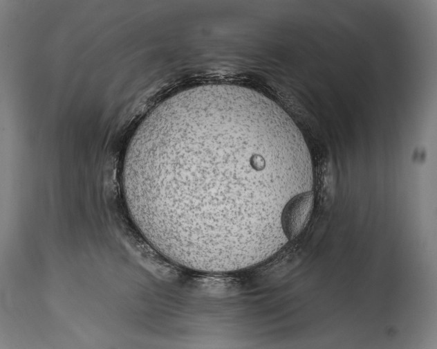 X0000114610615200911101153