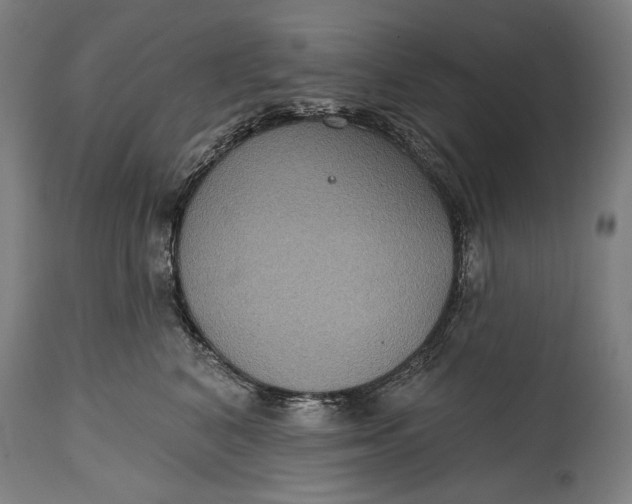 X0000114610616200911101153