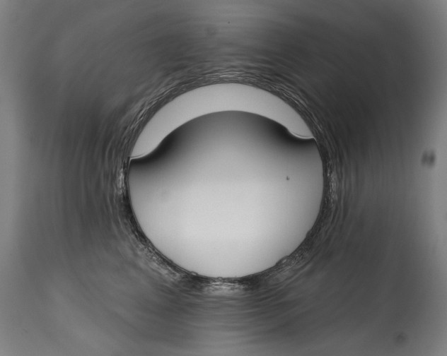 X0000114610617200911101153