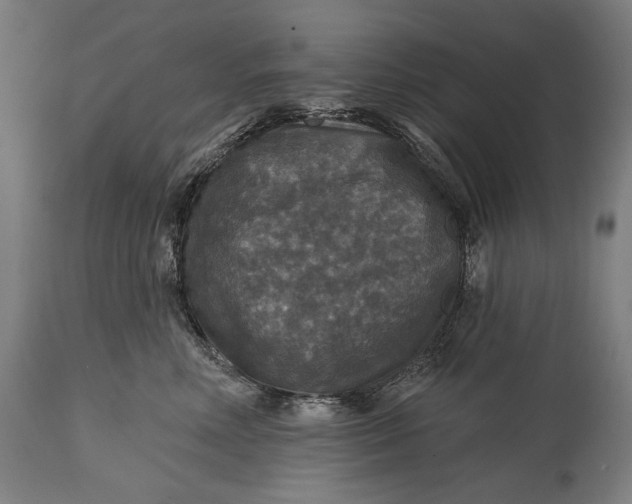 X0000114610618200911101153