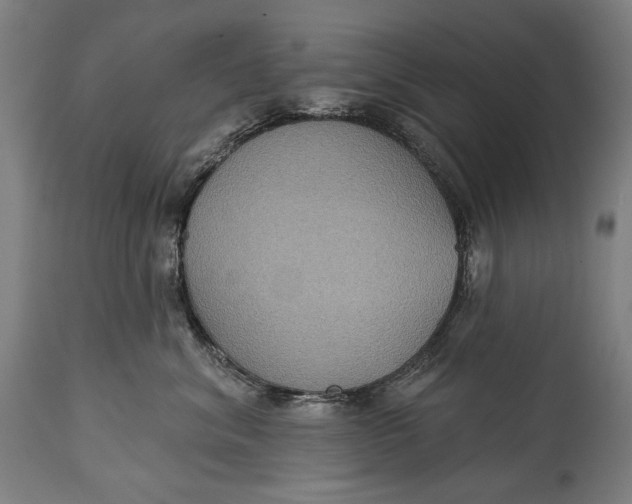 X0000114610620200911101153