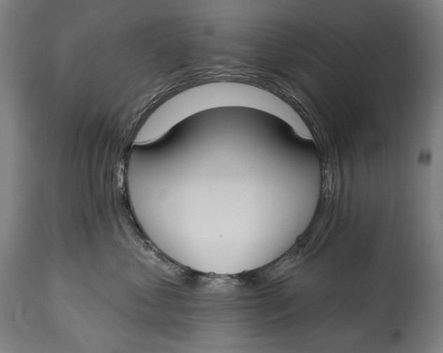 X0000114610621200911101153