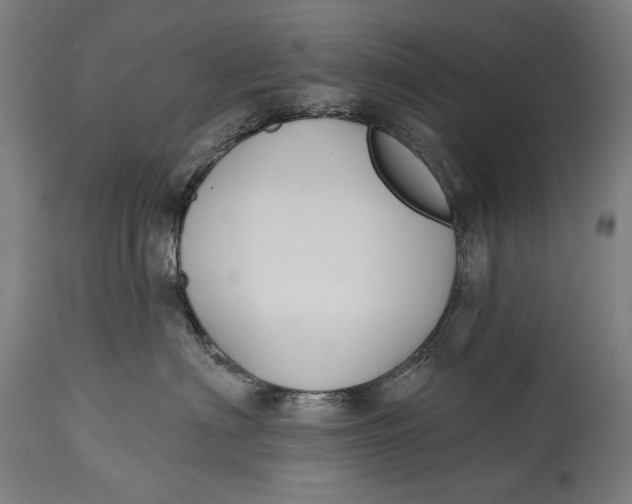 X0000114610622200911101153