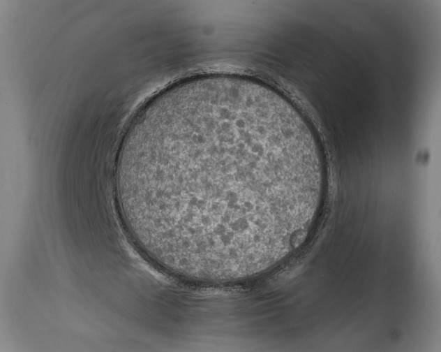 X0000114610625200911101152